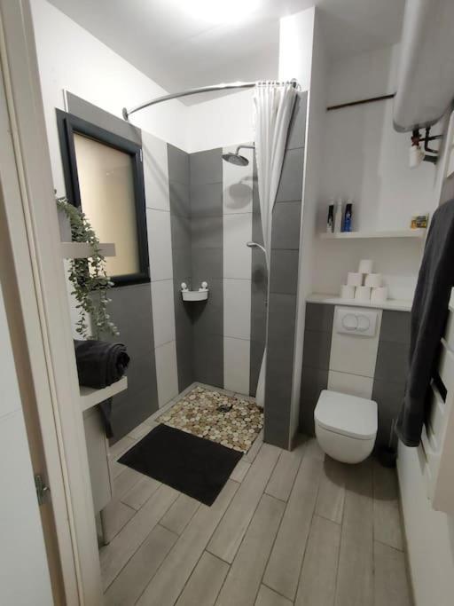 Patio Cosy Apartment Thizy-les-Bourgs Exterior photo